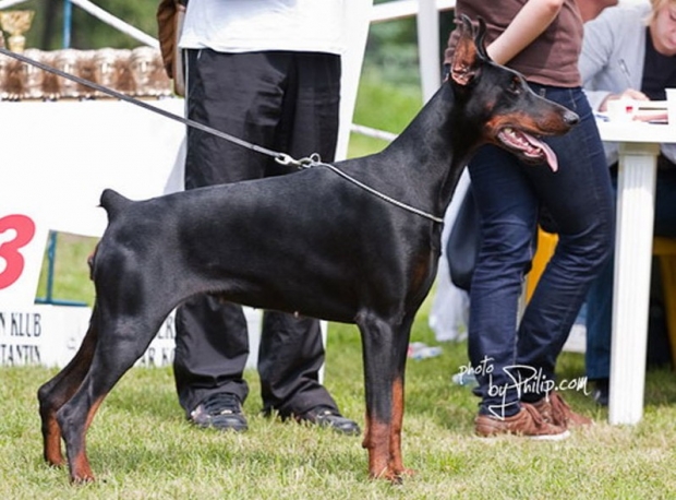 XENIA FOR BETELGES DEL NASI