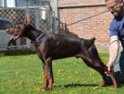6 months old - 