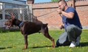 6 months old - 