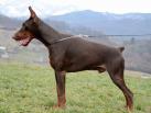 16 months old - 