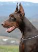 16 months old - 