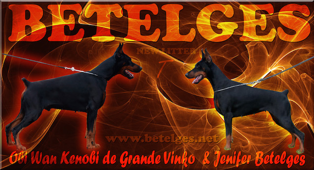 09-08-2015 09-08-2015